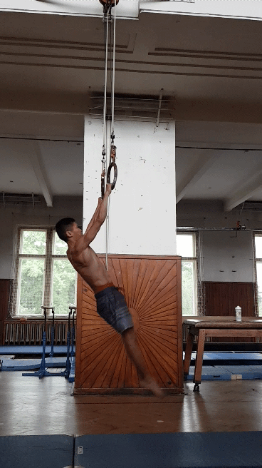 360 pulls sokol liben.img